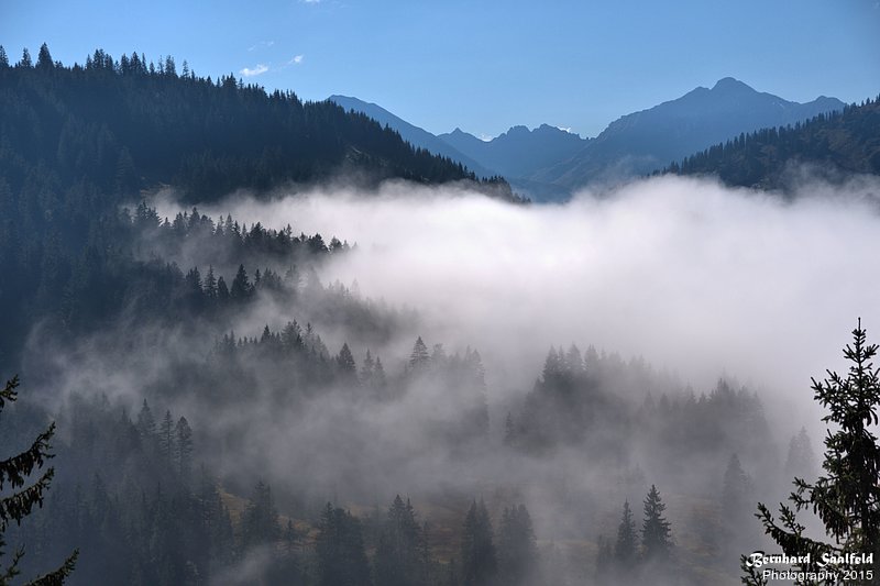 Bernhard Saalfeld - Im Lochbachtal